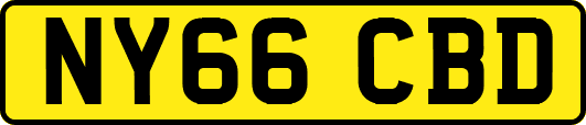 NY66CBD