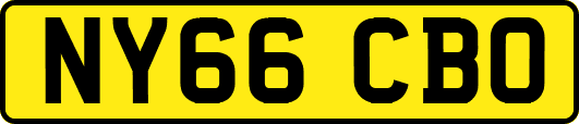 NY66CBO