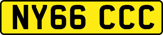 NY66CCC