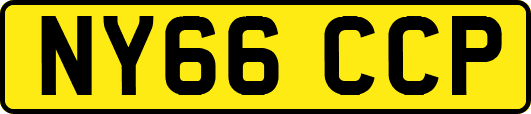 NY66CCP