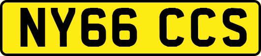 NY66CCS