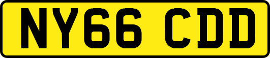NY66CDD