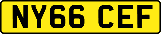 NY66CEF