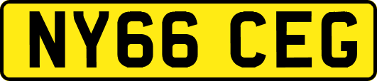 NY66CEG