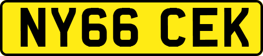 NY66CEK