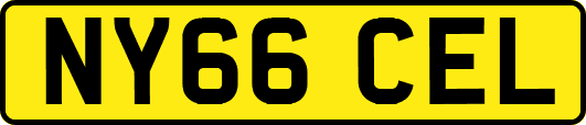 NY66CEL