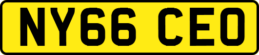 NY66CEO
