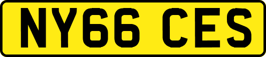 NY66CES