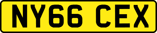 NY66CEX