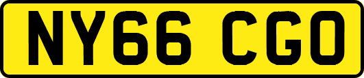 NY66CGO