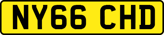 NY66CHD