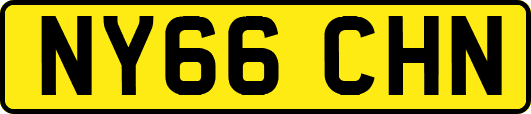 NY66CHN