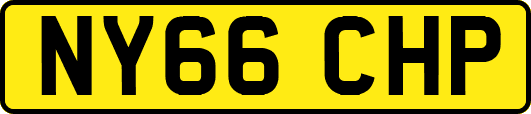 NY66CHP