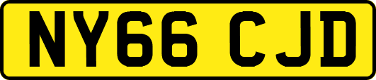 NY66CJD