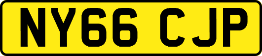 NY66CJP