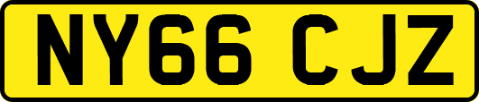 NY66CJZ