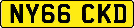 NY66CKD
