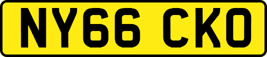NY66CKO