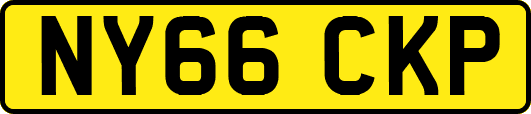 NY66CKP