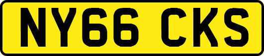 NY66CKS