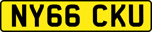 NY66CKU