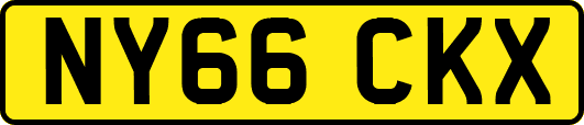 NY66CKX