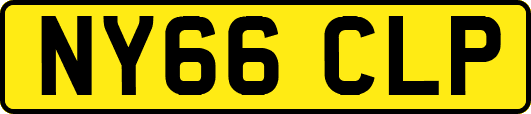 NY66CLP