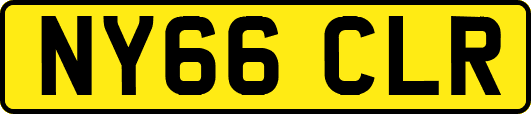 NY66CLR