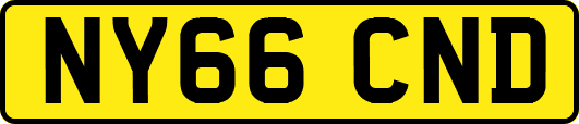 NY66CND