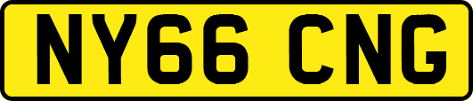 NY66CNG