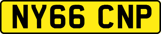 NY66CNP