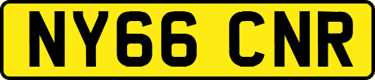 NY66CNR