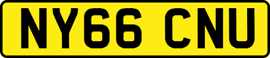 NY66CNU