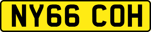 NY66COH