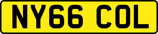 NY66COL