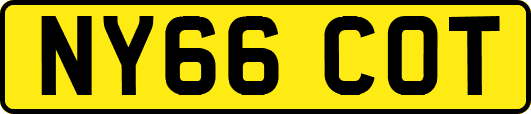 NY66COT