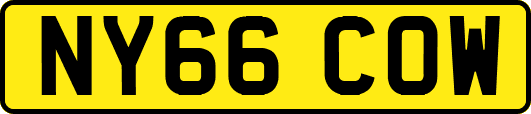 NY66COW