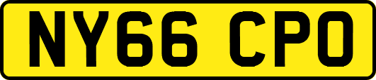 NY66CPO