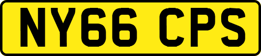 NY66CPS