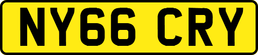 NY66CRY