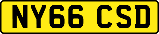 NY66CSD