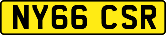 NY66CSR