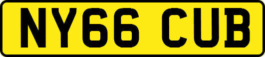 NY66CUB