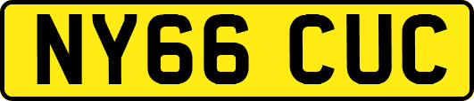 NY66CUC