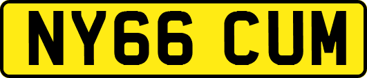 NY66CUM
