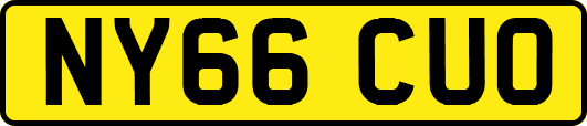 NY66CUO