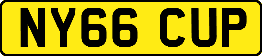 NY66CUP