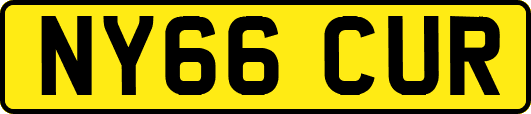 NY66CUR