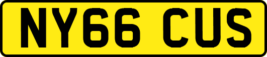 NY66CUS