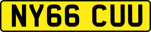 NY66CUU